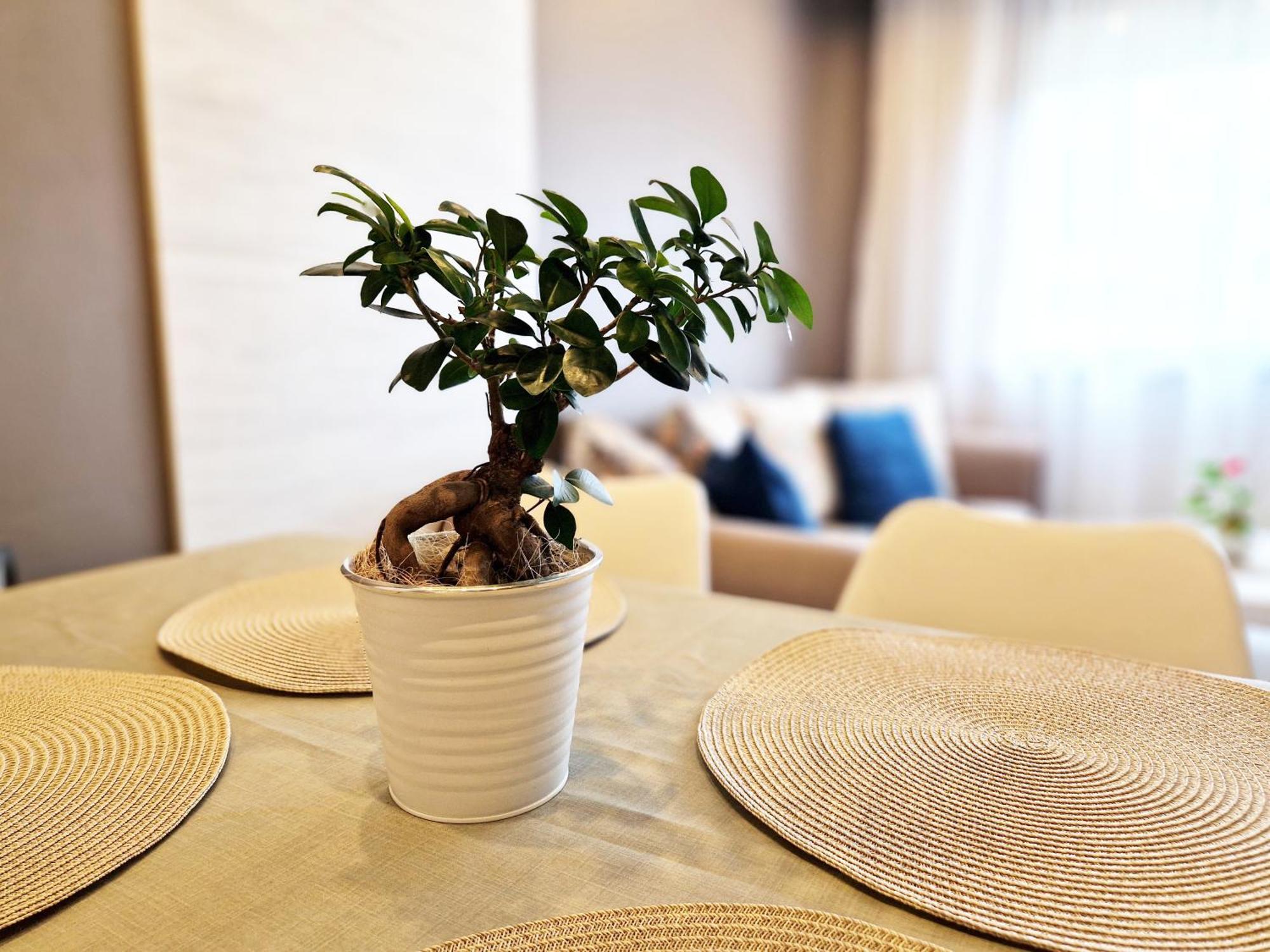 Central Apartment - Spacious Designer Property In Stara Zagora Exterior foto